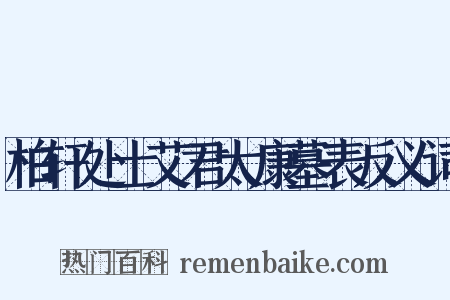 柏轩处士艾君太康墓表反义词是什么意思的图片